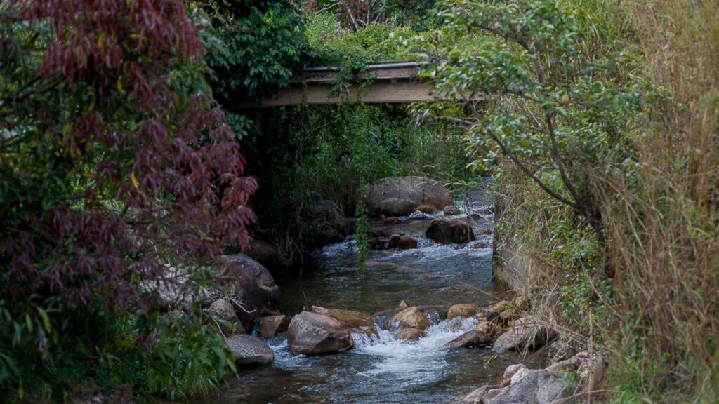 Things to Do at Obudu Mountain Resort