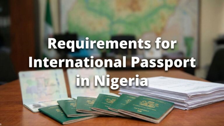 Requirements for International Passport in Nigeria (2026)