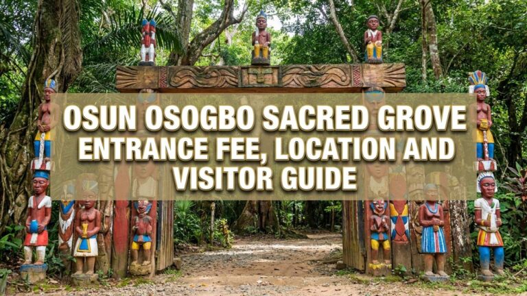 Osun Osogbo Sacred Grove Entrance Fee, Location and Visitor Guide