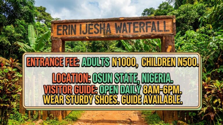 Erin Ijesha Waterfall Entrance Fee, Location and Visitor Guide