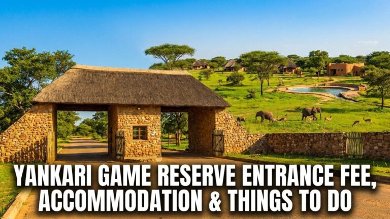 Yankari Game Reserve Entrance Fee, Accommodation and Things to Do