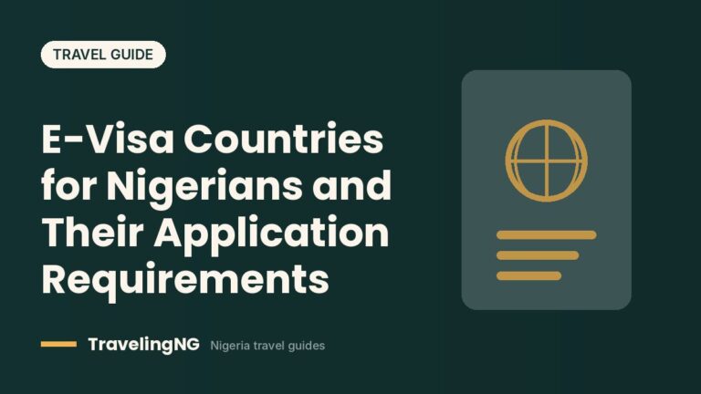E-Visa Countries for Nigerians and Their Application Requirements